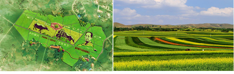 9cef85b1ca.jpg bbc184fbaa.jpg