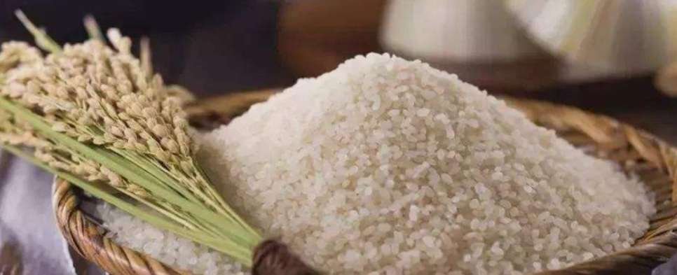 3e07e24977.png 圖片8.png