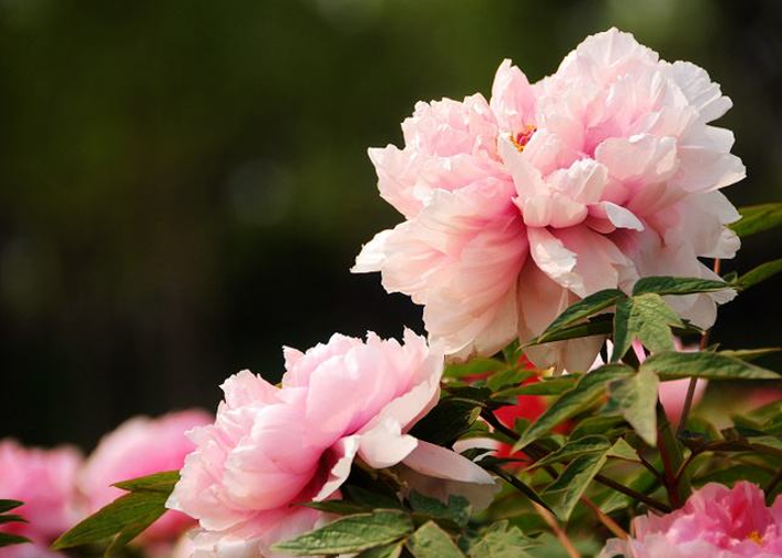 0ca0f06d1a.png 圖片1.png