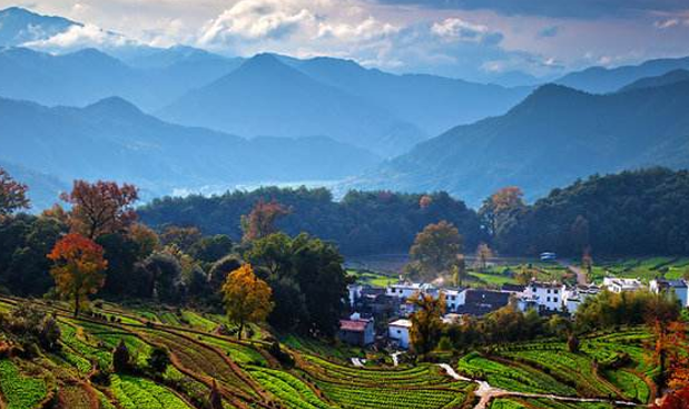 1bc8e50d57.png 圖片4.png