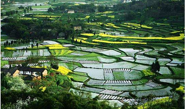 30582be3a0.png 圖片3.png