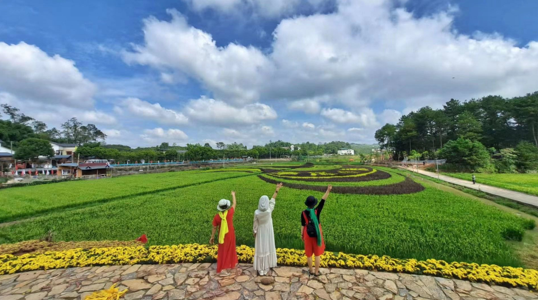 bfd378500c.png 圖片1.png